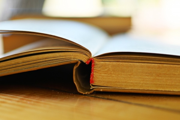 梨花时节思美人,“梨涡”有什么错?