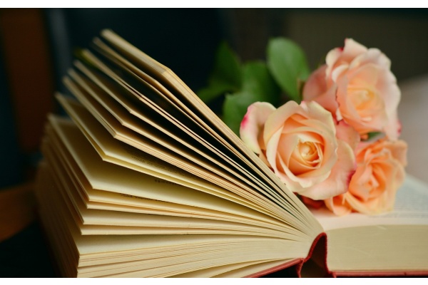 办公室挂什么字画好 毛笔四字书法汇总