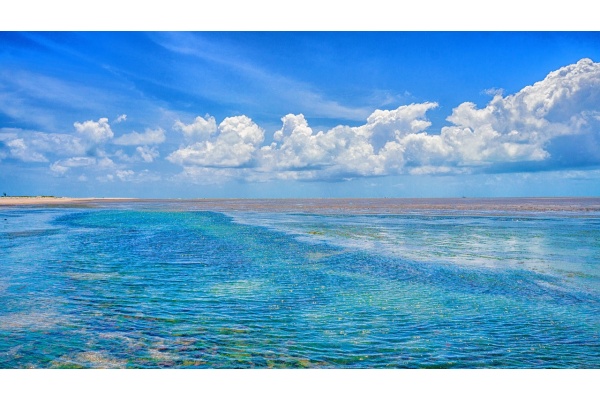 出类拔萃的背后是什么？揭示成语的深意与魅力