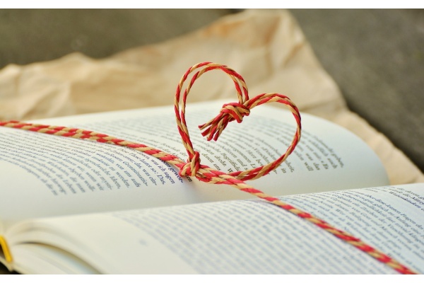 鞭长莫及是什么意思