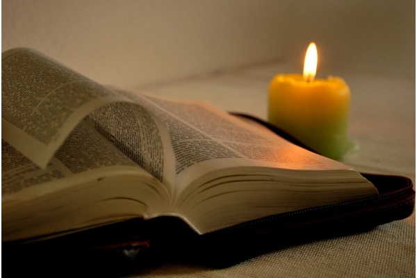 拔苗助长的成语故事动画JR版