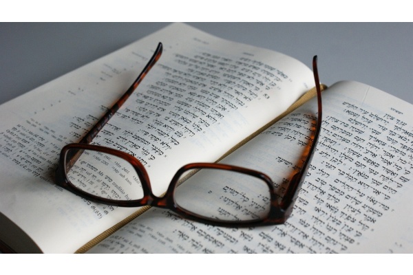 益智成语故事：千里送鹅毛（2）绘本儿歌 