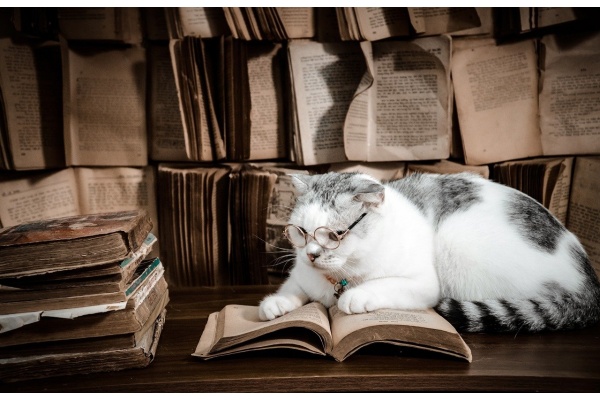 经典成语故事《一叶障目》