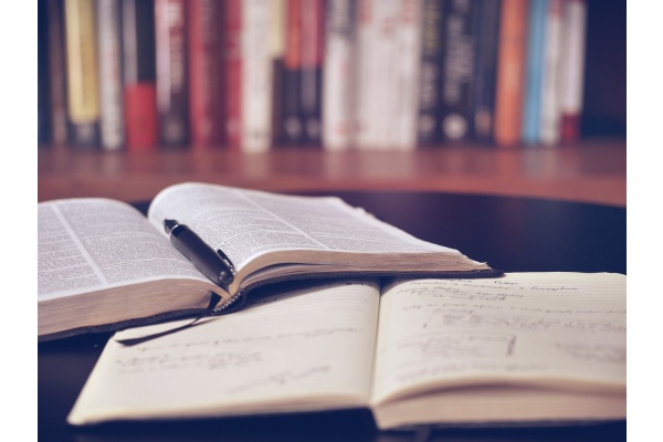 2025秋三年级上册语文《园地四》含数字的成语(第1个字和第3个字都是数字),给孩子收藏学习!