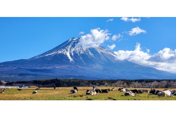 郭喜林：戏说十二属相