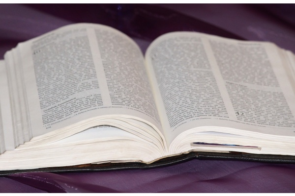 王素、宋少华：长沙走马楼三国吴简《竹木牍