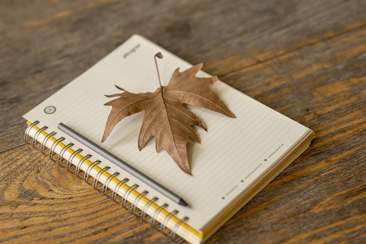 揭秘中国首位神射手：养由基的传奇箭术与成语典故